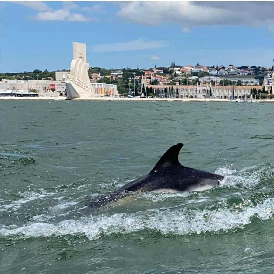אלמאדה Tejo House River Lisbon מראה חיצוני תמונה